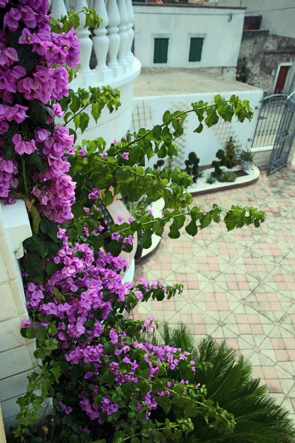 Apartament Visnja *